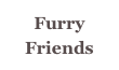 Furry Friends